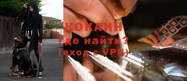 мдпв Горнозаводск