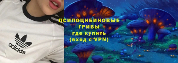 прущие крисы Гусев