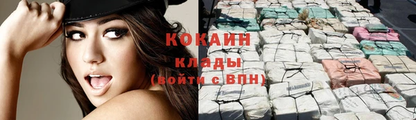 прущие крисы Гусев