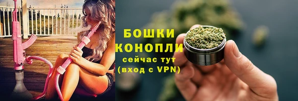 прущие крисы Гусев