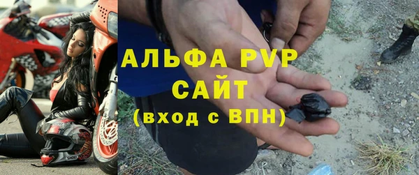 прущие крисы Гусев