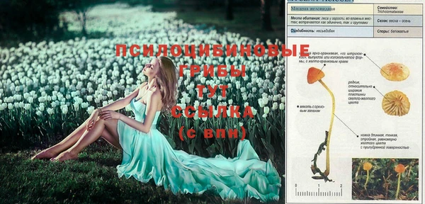 мдма Гусь-Хрустальный