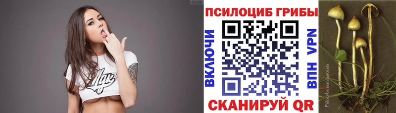 OMG ONION  Москва  Псилоцибиновые грибы GOLDEN TEACHER 