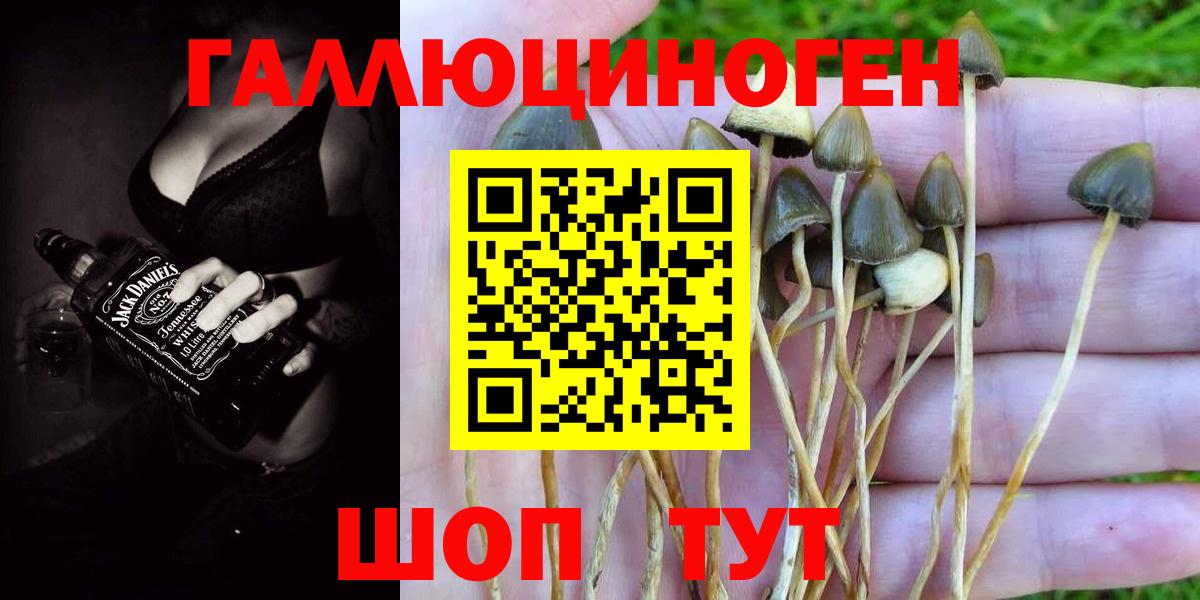 Галлюциногенные грибы прущие грибы  Псилоцибиновые грибы MAGIC MUSHROOMS  Вход с VPN  Москва 