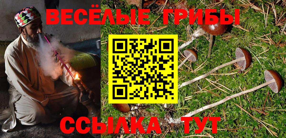 Альфа ПВП СК   Вход с VPN  Москва  Марихуана  Меф МЯУ МЯУ кристаллы 
